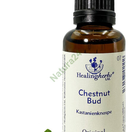 7. KASTANIENKNOSPE / Rosskastanienknospe 10/30 ml oder Globuli 15 g - 3