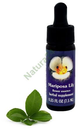 FES Mariposa-Lilie 7,5 ml Tropfen