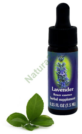 FES Lavendel 7,5 ml Tropfen