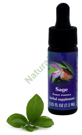 FES Salbei 7,5 ml Tropfen