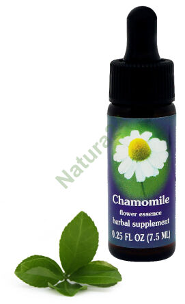 FES Kamille 7,5 ml Tropfen