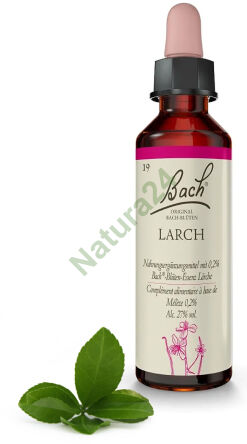 19. LARCH / Modrzew europejski 20 ml Nelson Bach Original Flower Remedies deutsch