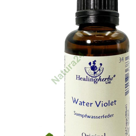 34. WASSER-VIOLET / Wasserfeder/ Veilchen 10/30 ml oder Globuli 15 g - 3