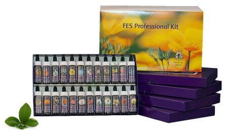 FES Set 103 Essenzen - 7,5 ml Tropfen