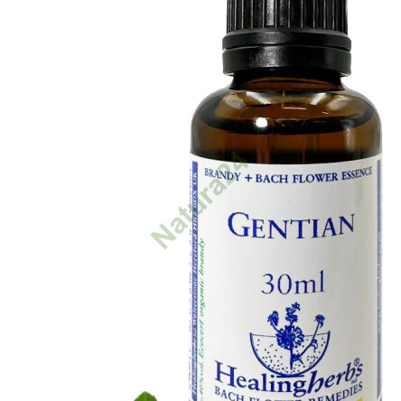7.   GENTIAN 10ml - 3