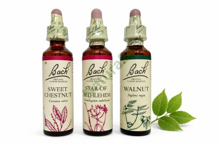 Zestaw wsparcia w procesie żałoby