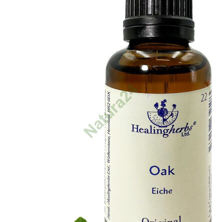 22. OAK / Dąb szypułkowy 10/30 ml lub globulki 15 g - 3