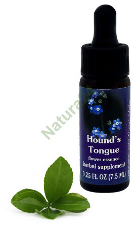 FES Hundszunge 7,5 ml Tropfen