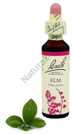 11. Ulme / Englische Ulme 20 ml Nelson Bach Original Blütenessenzen