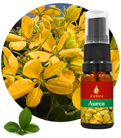37. Aurea 10 ml Ararêtama Rainforest Essences