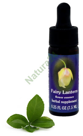 FES Feenlaterne 7,5 ml Tropfen
