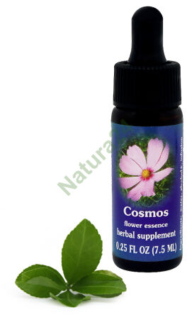 FES Cosmos 7,5 ml Tropfen