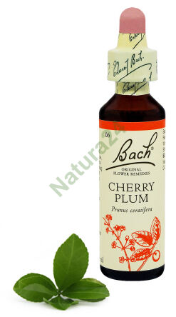 6. KIRSCHEPFLAUME / Kirschpflaume 20 ml Nelson Bach Original Flower Remedies