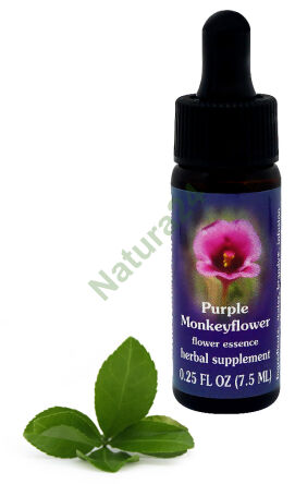 FES Lila Affenblume 7,5 ml Tropfen