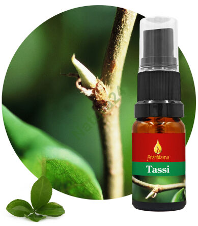 30. Tassi 10 ml Ararêtama Rainforest Essences