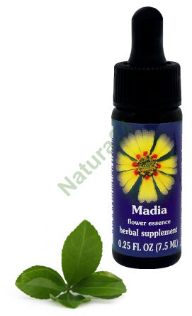 FES Madia 7,5 ml Tropfen