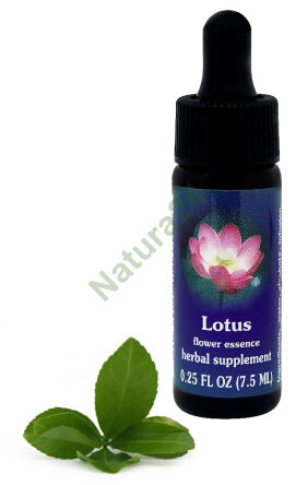 FES Lotus 7,5 ml Tropfen