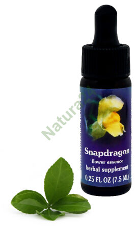 FES Snapdragon 7,5 ml Tropfen