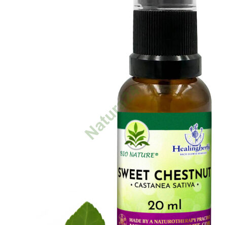 30. SWEET CHESTNUT / Kasztan jadalny - Kompozycja HealingHerbs 20ml - 2