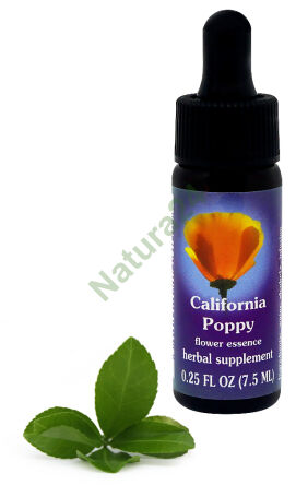 FES Kalifornischer Mohn 7,5 ml Tropfen