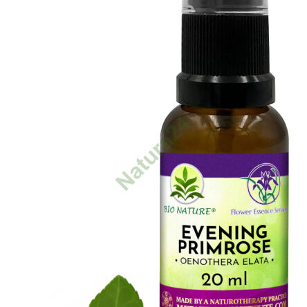 031. Evening Primrose - Kompozycja FES 20ml - 2