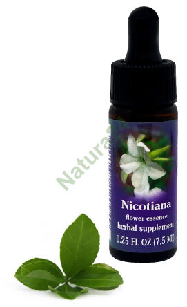 FES Nicotiana 7,5 ml Tropfen
