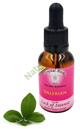 Crystal Herbs – Valerian (Esencja karmiczna) – 25 ml