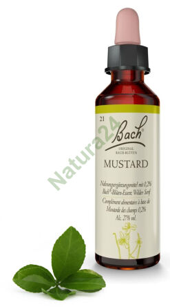 21. MUSTARD / Gorczyca polna 20 ml Nelson Bach Original Flower Remedies