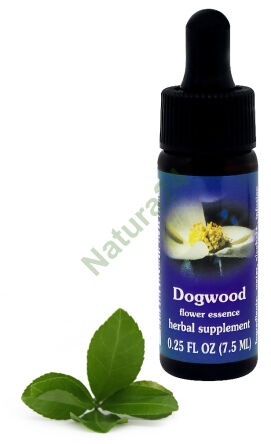 FES Hartriegel 7,5 ml Tropfen