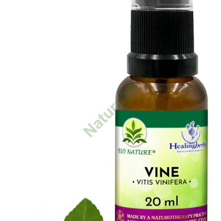 32. VINE / Winorośl właściwa - Kompozycja HealingHerbs 20ml - 2