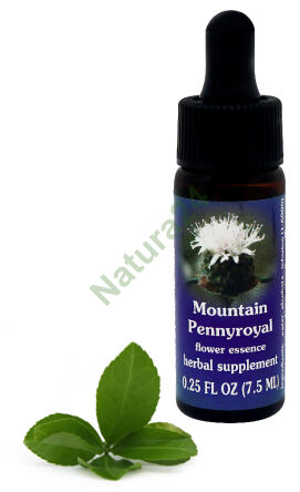 FES Berg-Pfefferminze 7,5 ml Tropfen