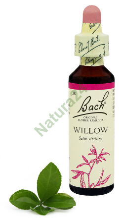 38. WILLOW / Weiße Weide 20 ml Nelson Bach Original Blütenessenzen Englisch