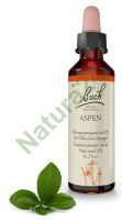 2. ASPEN / Osika 20 ml Nelson Bach Original Flower Remedies deutsch