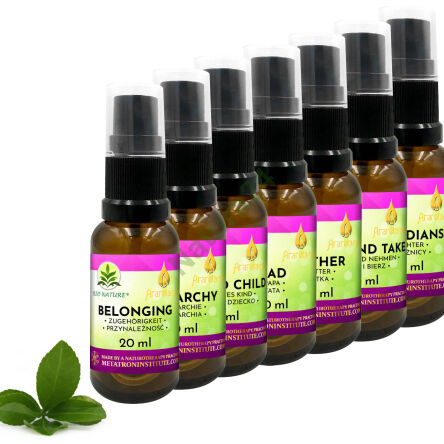 Zestaw kompozycji konstelacji systemowych rodzinnych Ararêtama  7 x 20ml - 4