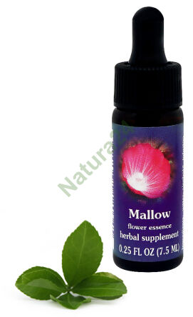 FES Malve 7,5 ml Tropfen