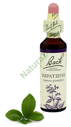 18. IMPATIENS / Gewöhnliches Springkraut 20 ml Nelson Bach Original Flower Remedies englisch