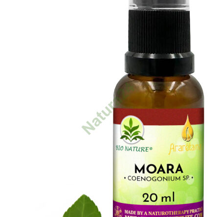 18. Moara - Kompozycja Ararêtama 20ml - 2