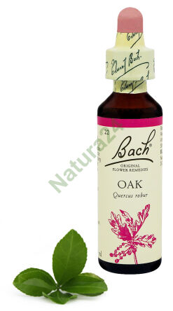 22. EICHE / Stiel-Eiche 20 ml Nelson Bach Original Flower Remedies