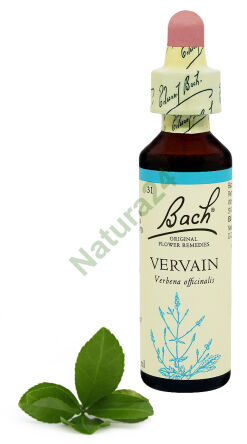 31. VERVAIN / Gewöhnliche Eisenkraut 20 ml Nelson Bach Original Flower Remedies