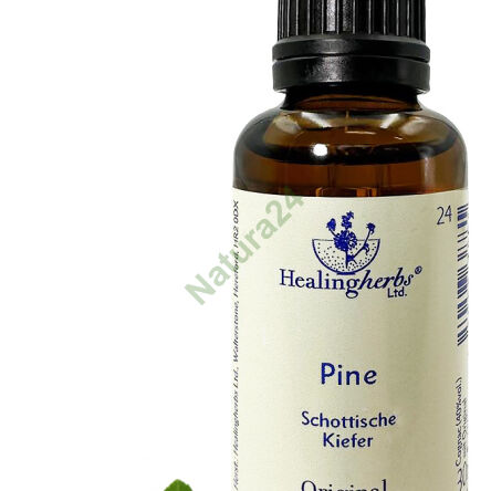 24. PINE / Sosna 10/30 ml lub globulki 15 g - 3