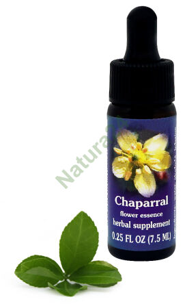 FES Chaparral 7,5 ml Tropfen