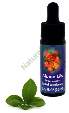 FES Alpenlilie 7,5 ml Tropfen