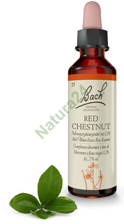 25. RED CHESTNUT / Kasztanowiec czerwony 20 ml Nelson Bach Original Flower Remedies deutsch