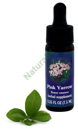 FES Rosa Schafgarbe 7,5 ml Tropfen
