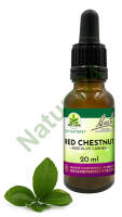 25. RED CHESTNUT / Kasztanowiec czerwony - Kompozycja Bach Original Flower Remedies Nelson 20ml