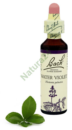 34. WASSER-VIOLET / Sumpf-Veilchen  20 ml Nelson Bach Original Flower Remedies