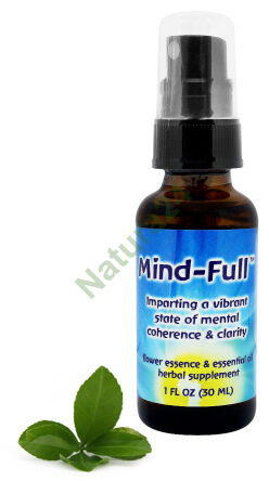 FES Mind-Full Sorgt für einen lebendigen Zustand von Kohärenz und Klarheit des Geistes 30 ml Spray