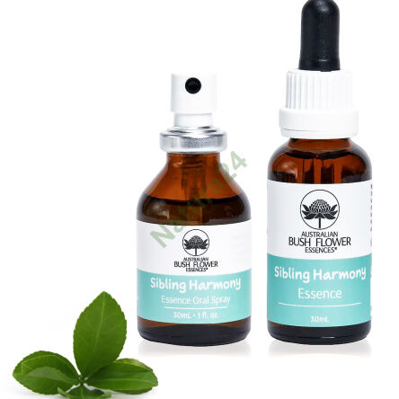 Geschwisterharmonie - Spray/Tropfen 30 ml - Australische Buschblütenessenzen -25% - 2