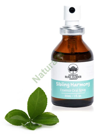 Geschwisterharmonie - Spray/Tropfen 30 ml - Australische Buschblütenessenzen -25%