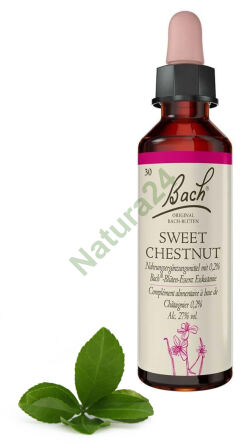 30. SWEET CHESTNUT / Kasztan jadalny 20 ml Nelson Bach Original Flower Remedies deutsch